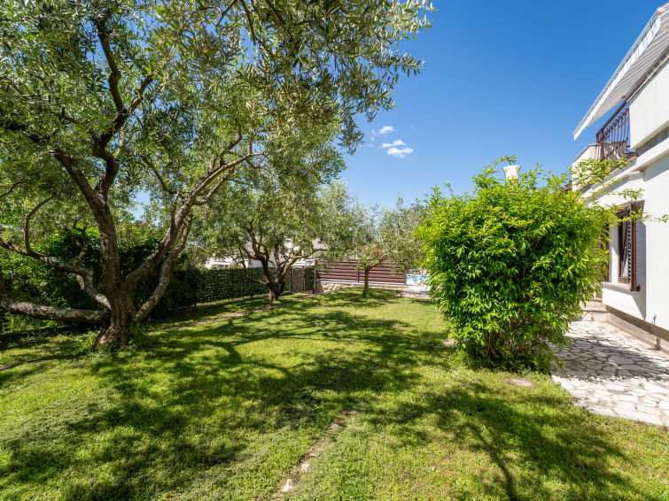 Apartment Albaneze