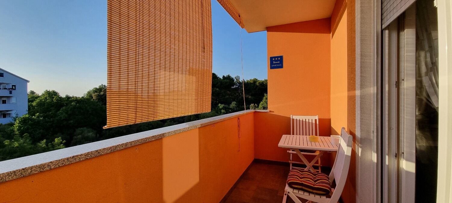 Apartament Mani