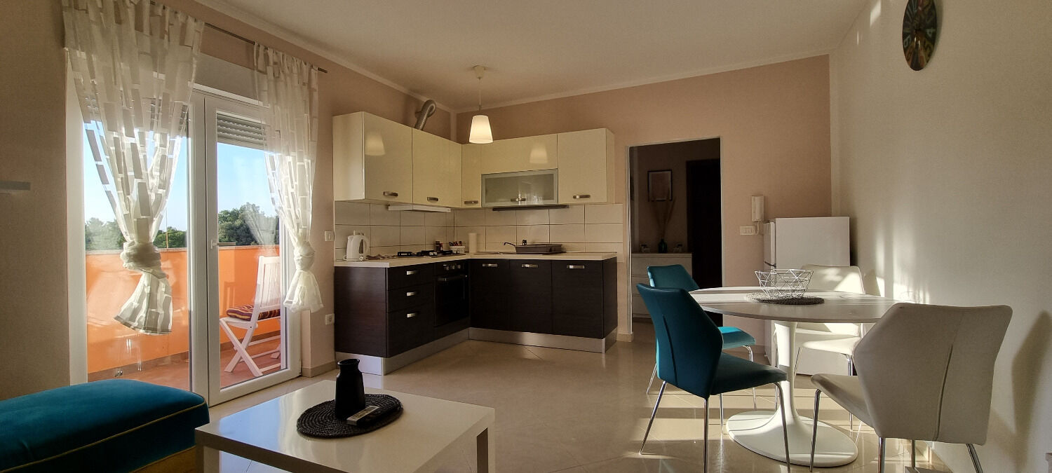 Apartament Mani